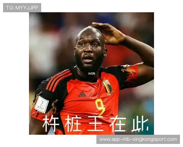 卢卡库禁区外突然起脚,力量型进攻让比利时气势上扬