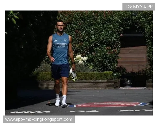 阿森纳引入速度型10号