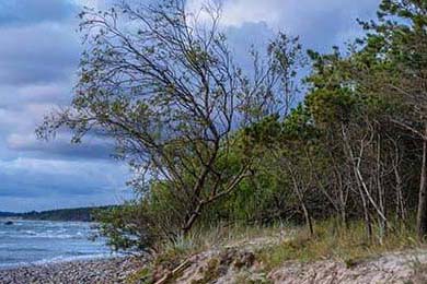 2025中国篮球季后赛战火连天，万人观赛热情高涨，2021篮球比赛中国队