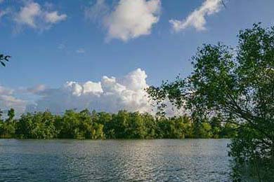 AI预测比赛走势，辅助观众理解精彩瞬间，ai预测比赛走势,辅助观众理解精彩瞬间的意思